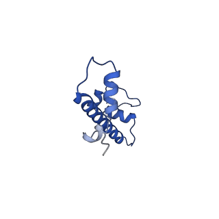 33666_7y7i_G_v1-0
chicken KNL2 in complex with the CENP-A nucleosome