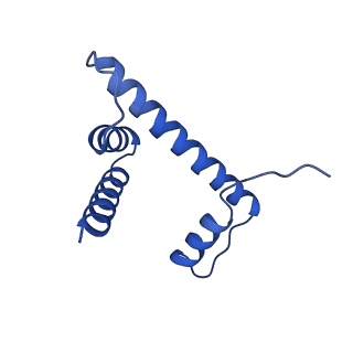 33666_7y7i_H_v1-0
chicken KNL2 in complex with the CENP-A nucleosome