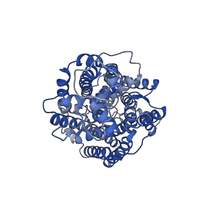 33675_7y7z_A_v1-2
Cryo-EM structure of human GABA transporter GAT1 bound with tiagabine in NaCl solution in an inward-open state at 3.2 angstrom