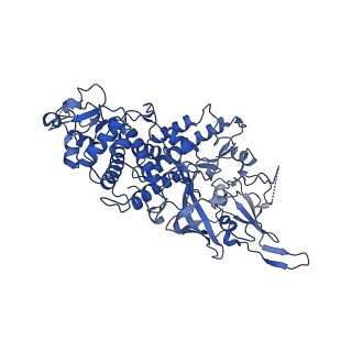 10722_6y83_A_v1-3
Capsid structure of Leishmania RNA virus 1
