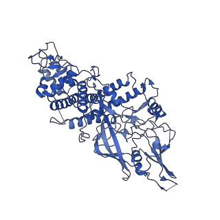 10722_6y83_B_v1-3
Capsid structure of Leishmania RNA virus 1