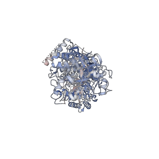 33677_7y81_A_v1-0
CryoEM structure of type III-E CRISPR Craspase gRAMP-crRNA complex bound to non-self RNA target