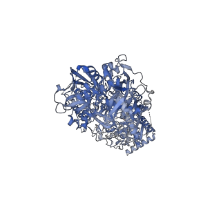 33679_7y83_A_v1-0
CryoEM structure of type III-E CRISPR Craspase gRAMP-crRNA in complex with TPR-CHAT protease bound to non-self RNA target