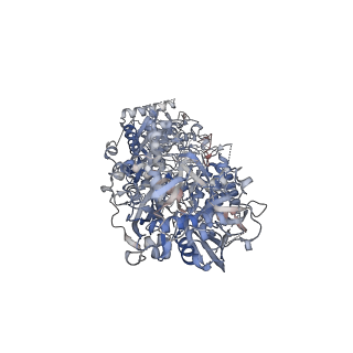 33680_7y84_A_v1-0
CryoEM structure of type III-E CRISPR Craspase gRAMP-crRNA in complex with TPR-CHAT protease