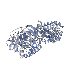 33680_7y84_C_v1-0
CryoEM structure of type III-E CRISPR Craspase gRAMP-crRNA in complex with TPR-CHAT protease