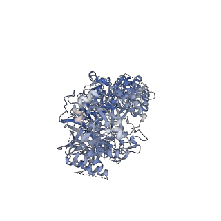 33681_7y85_A_v1-0
CryoEM structure of type III-E CRISPR Craspase gRAMP-crRNA in complex with TPR-CHAT protease bound to self RNA target