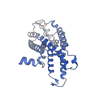 33682_7y89_A_v1-0
Structure of the GPR17-Gi complex