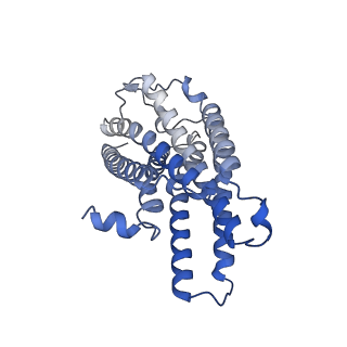 33682_7y89_A_v2-0
Structure of the GPR17-Gi complex