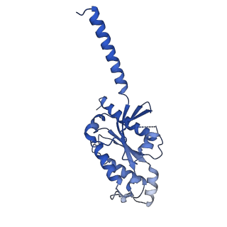 33682_7y89_C_v1-0
Structure of the GPR17-Gi complex