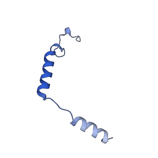 33682_7y89_G_v2-0
Structure of the GPR17-Gi complex