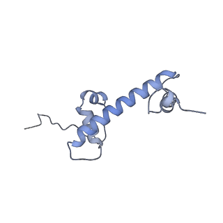 33684_7y8r_C_v1-1
The nucleosome-bound human PBAF complex