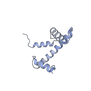 33684_7y8r_E_v1-1
The nucleosome-bound human PBAF complex