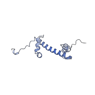 33684_7y8r_G_v1-1
The nucleosome-bound human PBAF complex