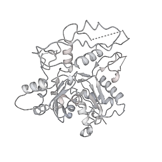 33684_7y8r_K_v1-1
The nucleosome-bound human PBAF complex