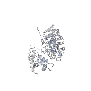 33684_7y8r_L_v1-1
The nucleosome-bound human PBAF complex