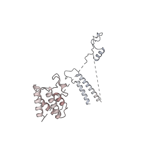 33684_7y8r_S_v1-1
The nucleosome-bound human PBAF complex