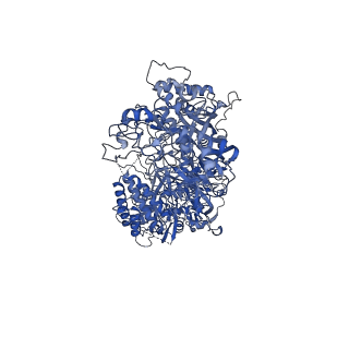33685_7y8t_A_v1-1
Structure of Cas7-11-crRNA in complex with TPR-CHAT