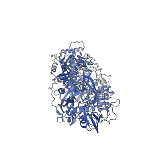 33686_7y8y_A_v1-1
Structure of Cas7-11-crRNA-tgRNA in complex with TPR-CHAT