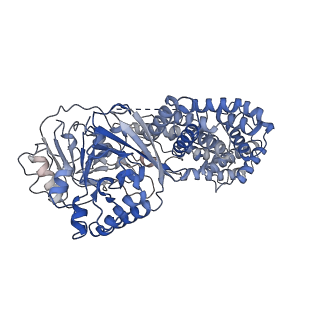 33686_7y8y_B_v1-1
Structure of Cas7-11-crRNA-tgRNA in complex with TPR-CHAT
