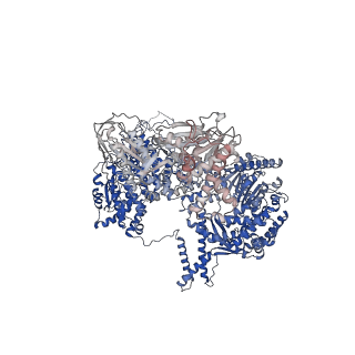 6817_5y88_A_v1-0
Cryo-EM structure of the intron-lariat spliceosome ready for disassembly from S.cerevisiae at 3.5 angstrom