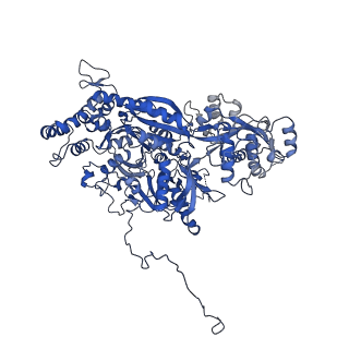 6817_5y88_C_v1-0
Cryo-EM structure of the intron-lariat spliceosome ready for disassembly from S.cerevisiae at 3.5 angstrom