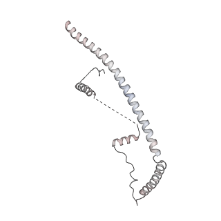 6817_5y88_G_v2-1
Cryo-EM structure of the intron-lariat spliceosome ready for disassembly from S.cerevisiae at 3.5 angstrom