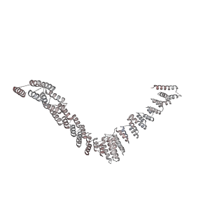 6817_5y88_H_v2-1
Cryo-EM structure of the intron-lariat spliceosome ready for disassembly from S.cerevisiae at 3.5 angstrom