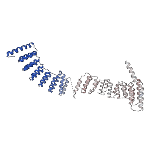 6817_5y88_I_v2-1
Cryo-EM structure of the intron-lariat spliceosome ready for disassembly from S.cerevisiae at 3.5 angstrom