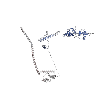 6817_5y88_J_v1-0
Cryo-EM structure of the intron-lariat spliceosome ready for disassembly from S.cerevisiae at 3.5 angstrom