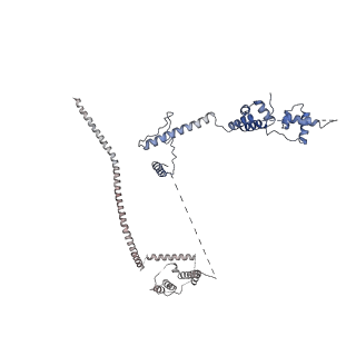 6817_5y88_J_v2-1
Cryo-EM structure of the intron-lariat spliceosome ready for disassembly from S.cerevisiae at 3.5 angstrom