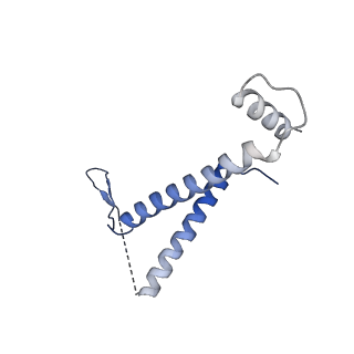 6817_5y88_K_v2-1
Cryo-EM structure of the intron-lariat spliceosome ready for disassembly from S.cerevisiae at 3.5 angstrom