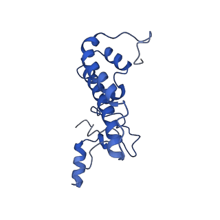 6817_5y88_L_v2-1
Cryo-EM structure of the intron-lariat spliceosome ready for disassembly from S.cerevisiae at 3.5 angstrom