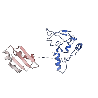 6817_5y88_M_v2-1
Cryo-EM structure of the intron-lariat spliceosome ready for disassembly from S.cerevisiae at 3.5 angstrom