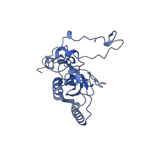 6817_5y88_N_v2-1
Cryo-EM structure of the intron-lariat spliceosome ready for disassembly from S.cerevisiae at 3.5 angstrom