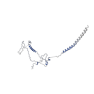 6817_5y88_Q_v2-1
Cryo-EM structure of the intron-lariat spliceosome ready for disassembly from S.cerevisiae at 3.5 angstrom