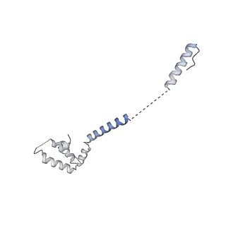 6817_5y88_T_v2-1
Cryo-EM structure of the intron-lariat spliceosome ready for disassembly from S.cerevisiae at 3.5 angstrom