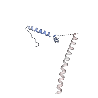 6817_5y88_V_v2-1
Cryo-EM structure of the intron-lariat spliceosome ready for disassembly from S.cerevisiae at 3.5 angstrom