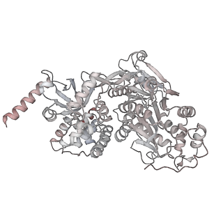 6817_5y88_W_v1-0
Cryo-EM structure of the intron-lariat spliceosome ready for disassembly from S.cerevisiae at 3.5 angstrom