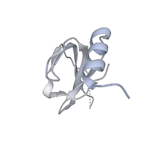 6817_5y88_b_v2-1
Cryo-EM structure of the intron-lariat spliceosome ready for disassembly from S.cerevisiae at 3.5 angstrom