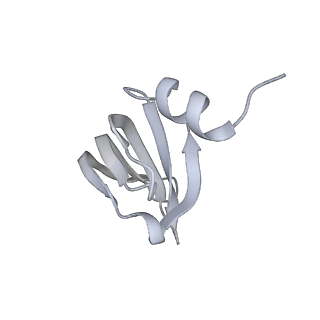 6817_5y88_c_v2-1
Cryo-EM structure of the intron-lariat spliceosome ready for disassembly from S.cerevisiae at 3.5 angstrom