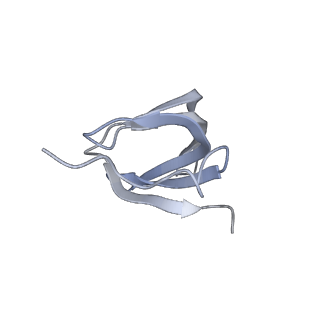 6817_5y88_d_v2-1
Cryo-EM structure of the intron-lariat spliceosome ready for disassembly from S.cerevisiae at 3.5 angstrom