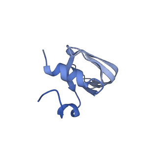 6817_5y88_e_v2-1
Cryo-EM structure of the intron-lariat spliceosome ready for disassembly from S.cerevisiae at 3.5 angstrom