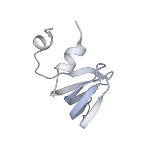 6817_5y88_f_v2-1
Cryo-EM structure of the intron-lariat spliceosome ready for disassembly from S.cerevisiae at 3.5 angstrom