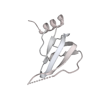 6817_5y88_i_v2-1
Cryo-EM structure of the intron-lariat spliceosome ready for disassembly from S.cerevisiae at 3.5 angstrom