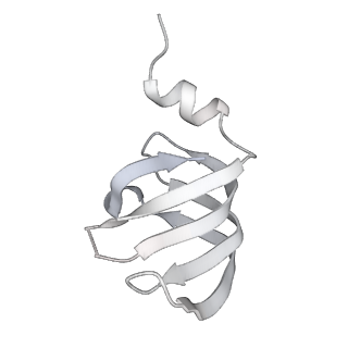 6817_5y88_j_v2-1
Cryo-EM structure of the intron-lariat spliceosome ready for disassembly from S.cerevisiae at 3.5 angstrom