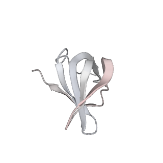 6817_5y88_k_v2-1
Cryo-EM structure of the intron-lariat spliceosome ready for disassembly from S.cerevisiae at 3.5 angstrom