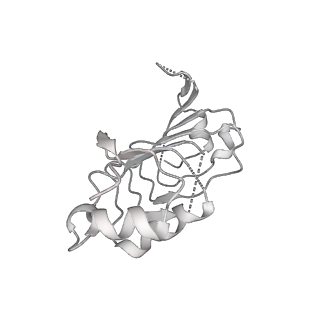 6817_5y88_o_v1-0
Cryo-EM structure of the intron-lariat spliceosome ready for disassembly from S.cerevisiae at 3.5 angstrom
