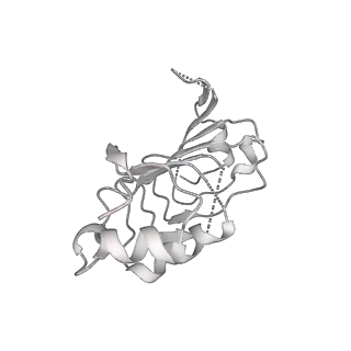 6817_5y88_o_v2-1
Cryo-EM structure of the intron-lariat spliceosome ready for disassembly from S.cerevisiae at 3.5 angstrom