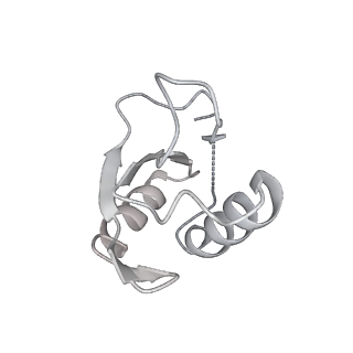 6817_5y88_p_v2-1
Cryo-EM structure of the intron-lariat spliceosome ready for disassembly from S.cerevisiae at 3.5 angstrom