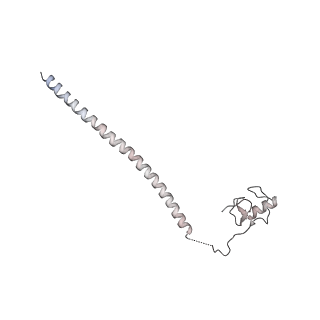 6817_5y88_s_v2-1
Cryo-EM structure of the intron-lariat spliceosome ready for disassembly from S.cerevisiae at 3.5 angstrom